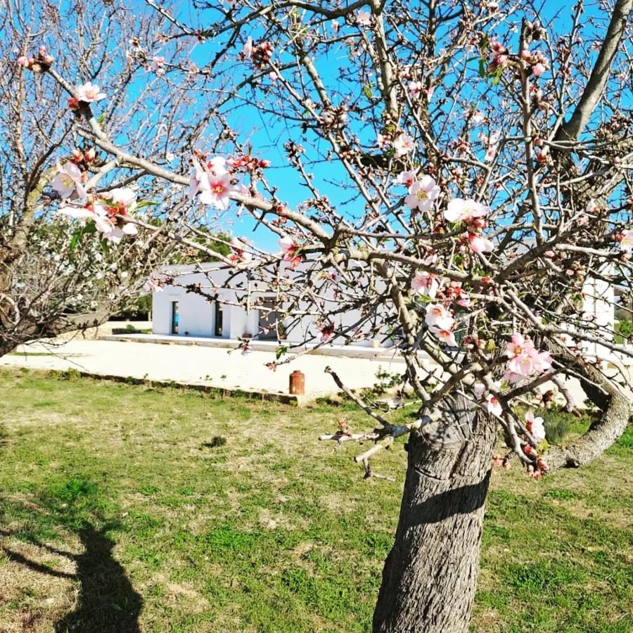 Ferienwohnung Casina Pompiliano Nardò Exterior foto